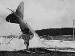 DFW C.V (LVG) crash, probably due to top wing failure. FA 282 Lt.Hesse & Lt.Kaubisch (0450-091)